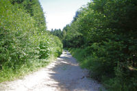 Le chemin sous le Rec de l_Auzel