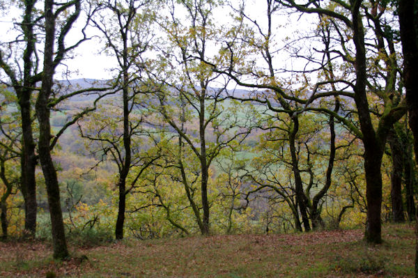 Paysage d_automne vers Bayol