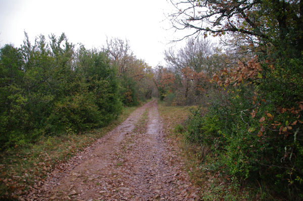 Le chemin  la Devze de la Boulbne