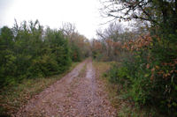 Le chemin  la Devze de la Boulbne