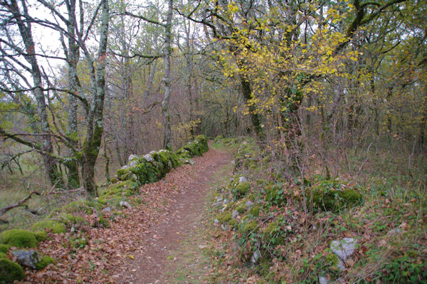 Le chemin au dessus de Coste de Fabre