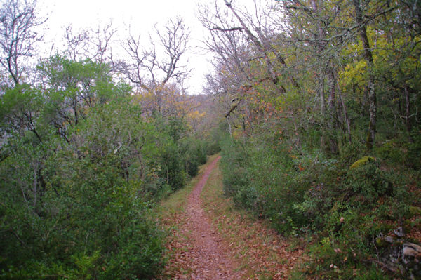 Le sentier au dessus la valle du Bombic