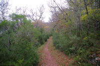 Le sentier au dessus la valle du Bombic