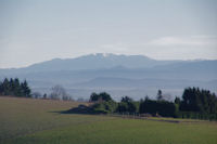 Le Canigou depuis La Barraque ou Las Tapios