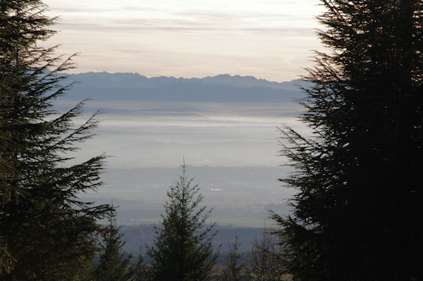 La plaine de Cstelnaudary et les Pyrnes depuis au dessus de Laujol