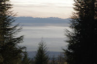 La plaine de Cstelnaudary et les Pyrenees depuis au dessus de Laujol