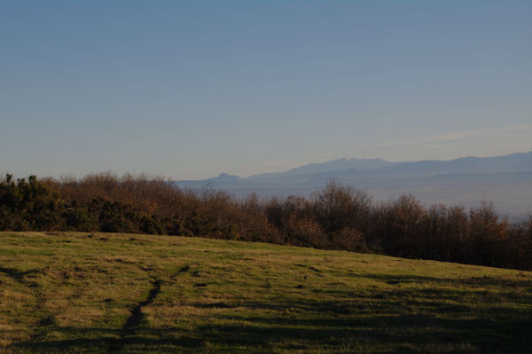 Au fond, le Pech de Bugarach et le Canigou depuis la crte du vallon de Poutou