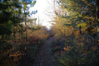 Le chemin descendant vers le vallon du ruisseau de Poutou