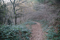 Le chemin descendant vers le vallon de ruisseau du Poutou