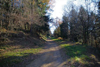 Le chemin au dessus de l_Hermitage