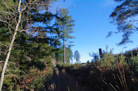 Le chemin au dessus du vallon du ruisseau de Montmaur