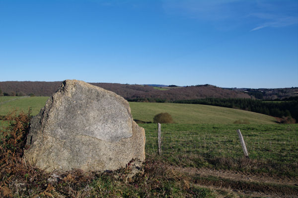 Une pierre leve au dessus de Peyre Bazal