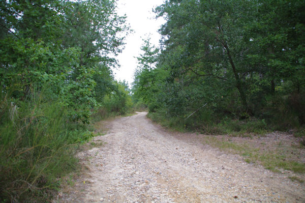 Le chemin aprs Le Gourpat