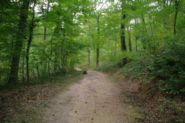 En descendant vers le vallon du ruisseau du Gourpat