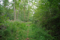 Le chemin longeant le ruisseau du Gourpat