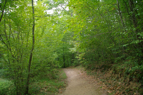 En descendant dans le vallon bois du ruisseau de la Bayssire