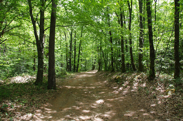 Le chemin vers le Rocher du Verdier