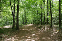 Le chemin vers le Rocher du Verdier