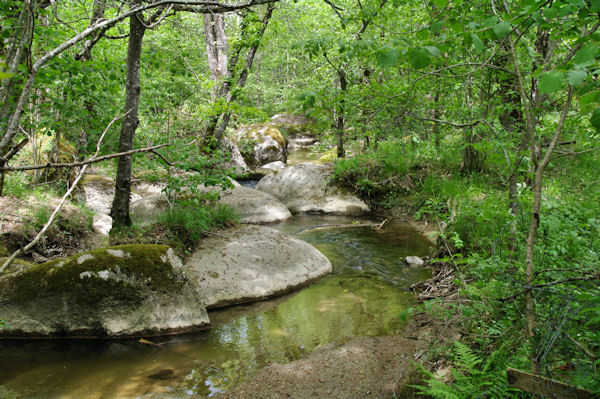 Le Rieu Maud