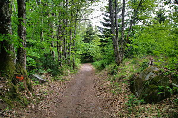 Le sentier vers La Fusari