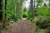 Le sentier vers La Fusarie