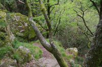 Le sentier escarp au dessus du Gouffre de Malamort