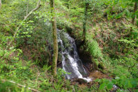 Une petite cascade au dessus du Gouffre de Malamort