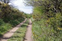 Le chemin vers Jacournassy