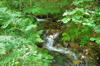 Les dernires cascades du Mouscaillou