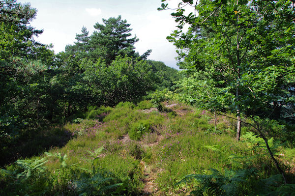 Le sentier sous le Travers des Ombres