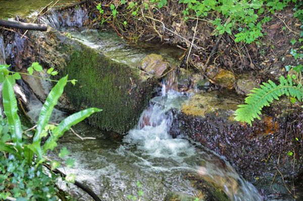 Le ruisseau de la Prune