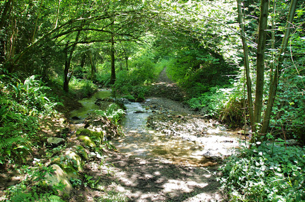 Le ruisseau de la Prune