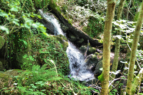 Les premires cascades du Mouscaillou