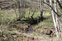 Ruisseau dans la foret de Gresigne