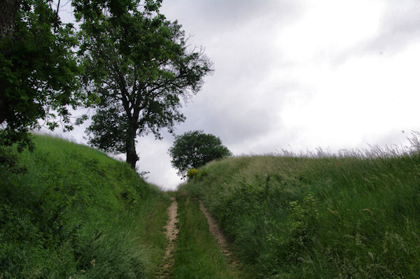 Le chemin aprs Les Imbertaris