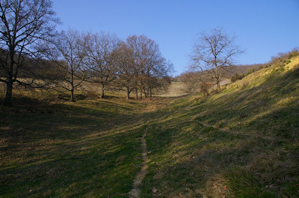 Le vallon des Costes