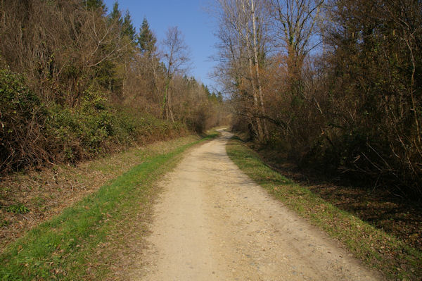 Dans la valle de la Sauzire