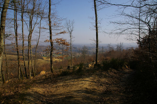 La valle du Tarn vers Ptarri