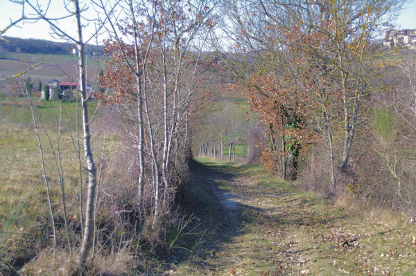 En descendant dans le vallon du ruisseau de la Saudronne