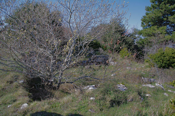 Des traces de civilisation prs de l_oppidum de Berniquaut