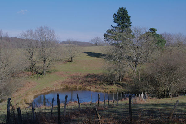 Un petit lac  Jacournassy