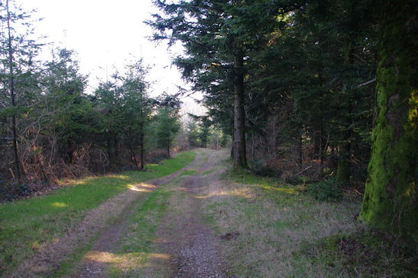 Dbut de la descente dans la valle du Sor