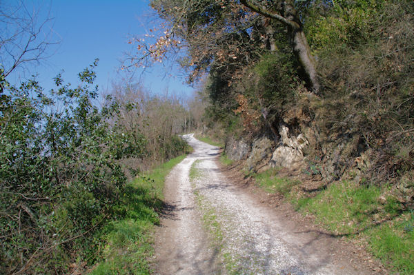 Le chemin remontant au dessus de St Alby