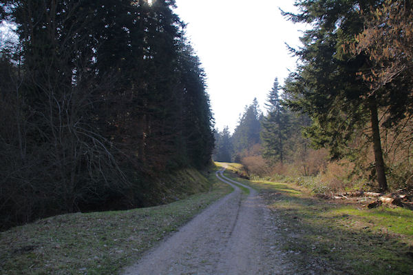 Passage rive gauche du ruisseau