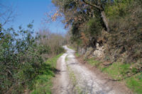 Le chemin remontant au dessus de St Alby