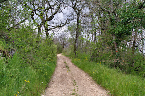 Le cehmin  La Dugari