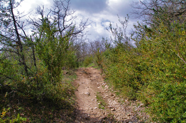 Un petit col vers La Dugari