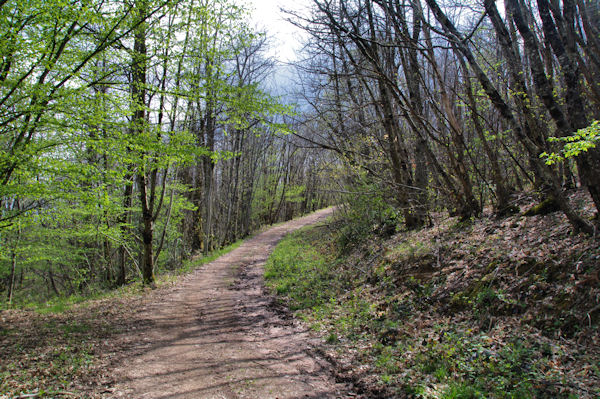 Le chemin montant au Pas de Caillaret