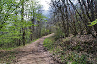 Le chemin montant au Pas de Caillaret