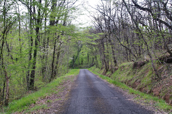 La petite route aprs le Pas de Pontraute